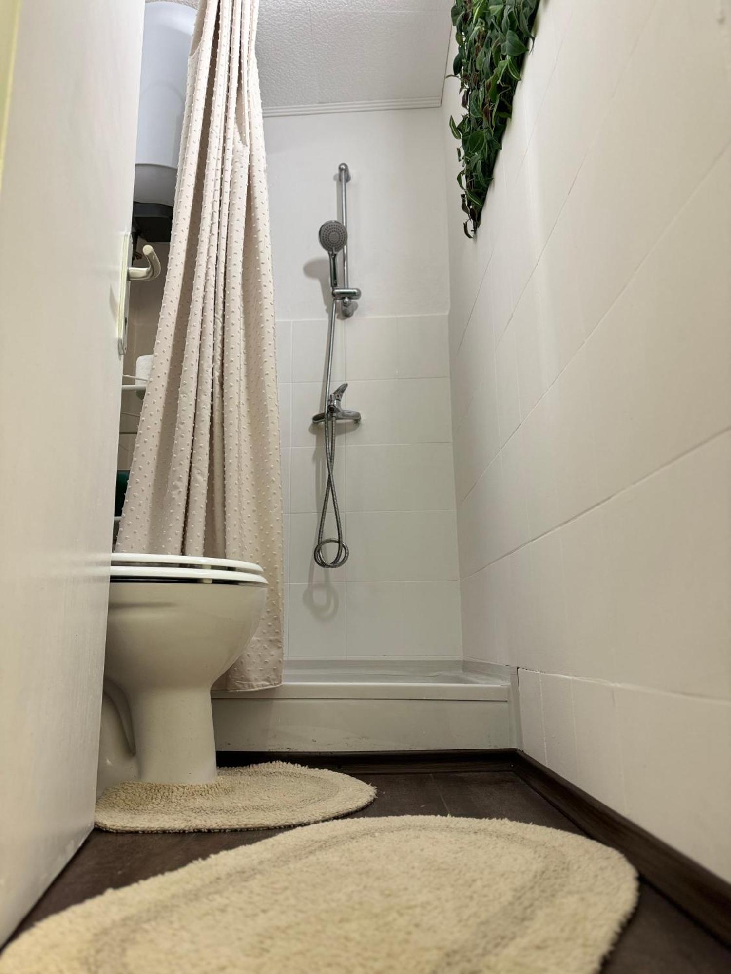 Oh La La Apartment Old Town Rovinj Ngoại thất bức ảnh